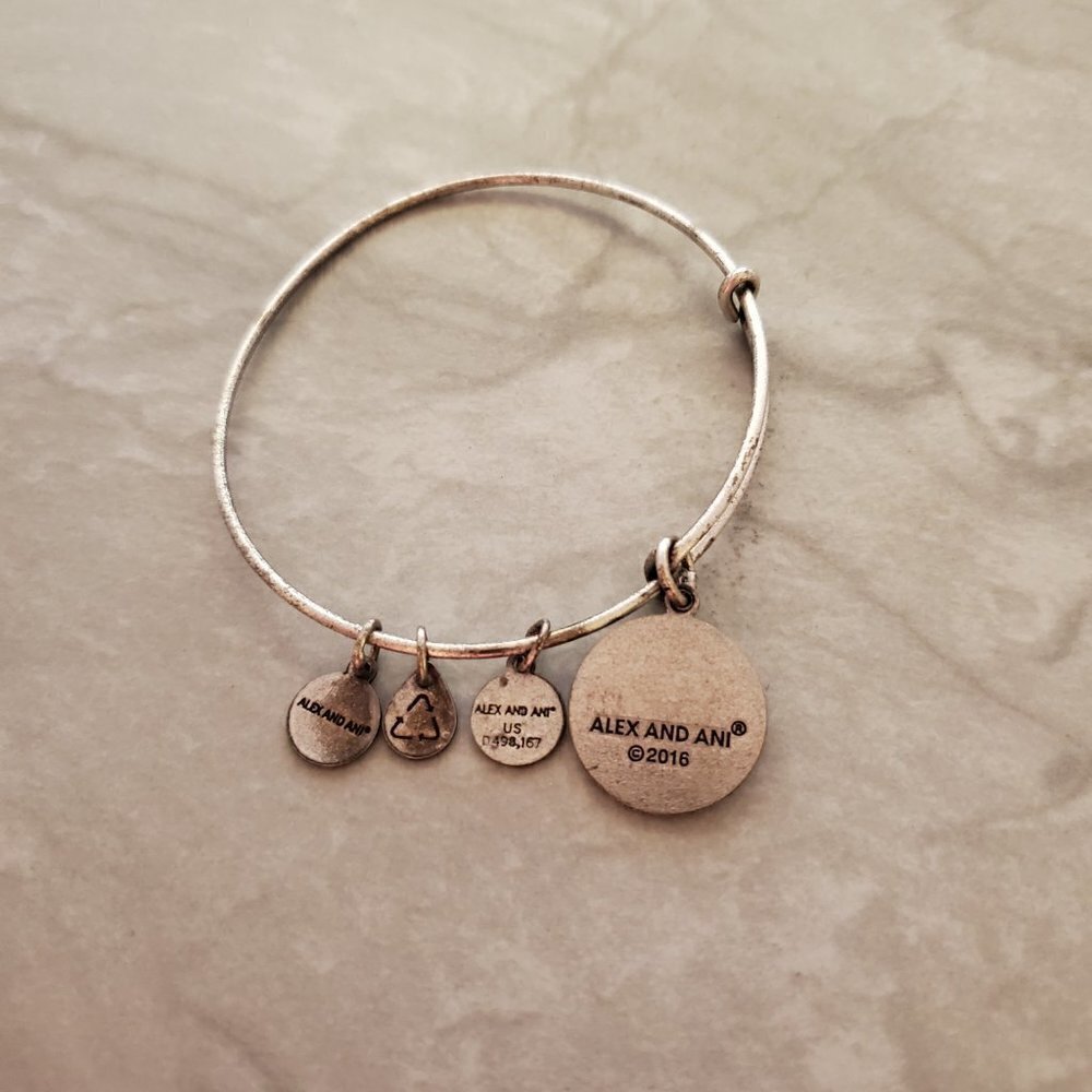 🍎 Alex and Ani Silver NYC New York City Apple Charm Expandable Bangle 🍎 - Picture 3 of 5